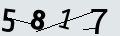 verifycode